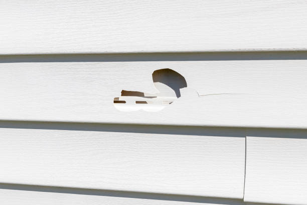 Best Stucco Siding  in Woodburn, VA