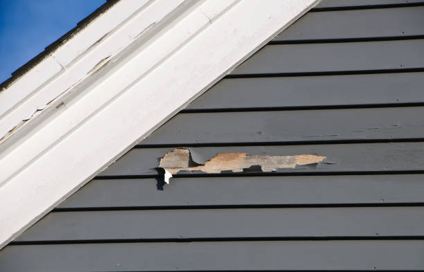 Best Wood Siding Installation  in Woodburn, VA